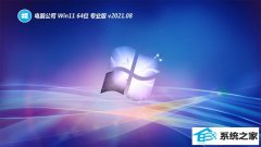 ���Թ�˾Windows11 ����װ����64λ 2021.08