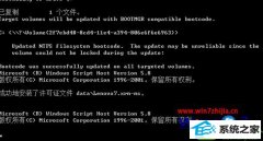 ����ľ��ϸ˵win10ϵͳpcskys windows10 loader����߼���ķ���